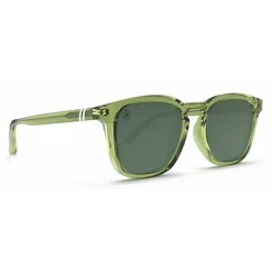 Blenders Sydney Pine Sunglasses