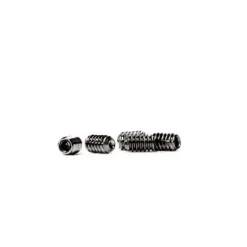 Future Replacement Key and Screws
