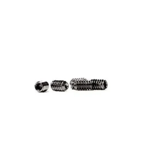 Future Replacement Key and Screws