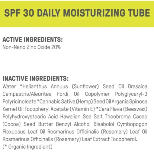 Raw Elements Daily Moisturizer SPF 30